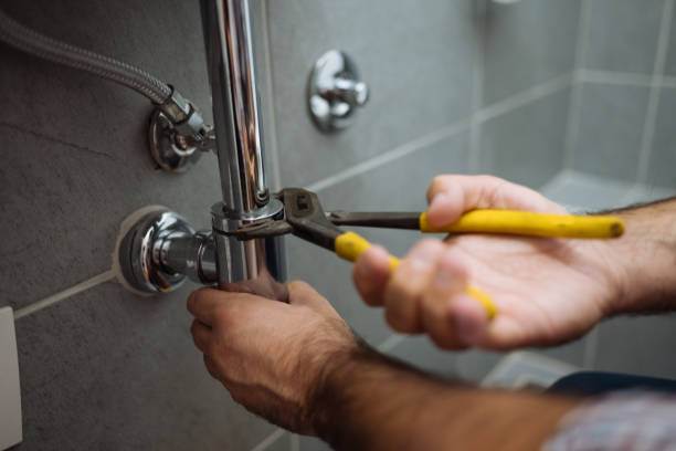 Best Clogged Drain Plumber  in Hoyt Lakes, MN